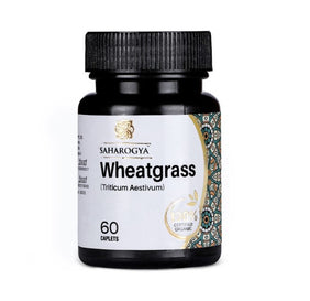 Wheatgrass (Triticum Aestivum)